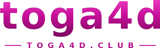 toga4d logo